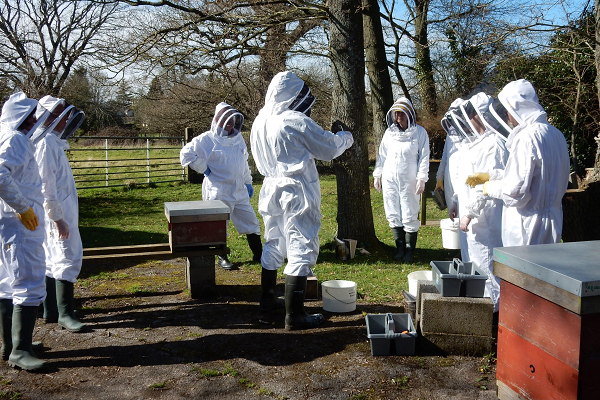 Would-be beekeepers invited to join course