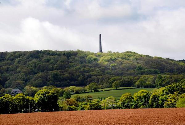 Project to save Wellington Monument suffers setback
