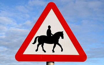 Horse sense keeps Somerset safe