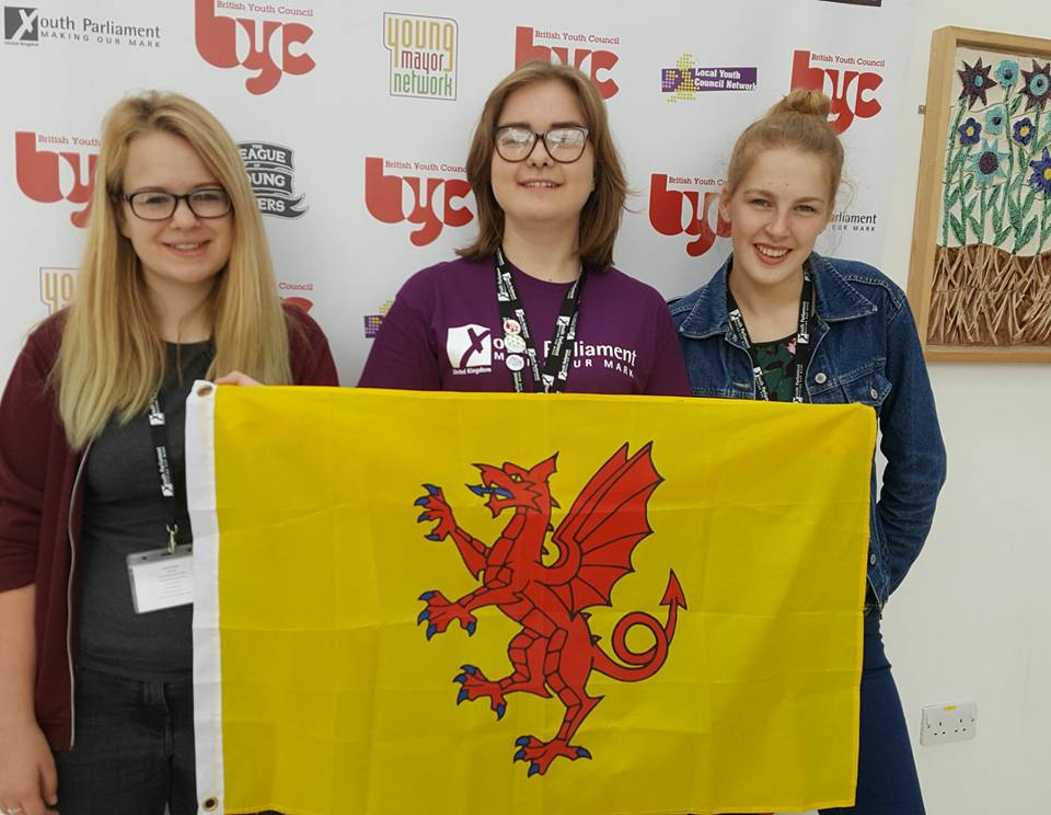 Somerset young people make their mark 