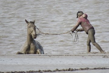 Horse saved from tide at Burnham
